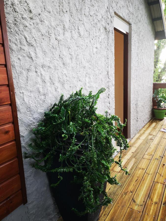 Bungalow Maelie La Trinite Luaran gambar
